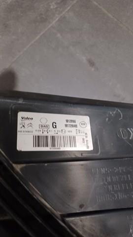 Compre 9817298480 Peugeot/Citroen Luz esquerda