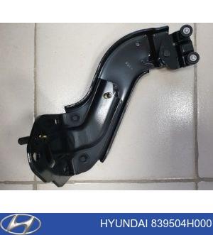 Rolo esquerdo inferior da porta lateral (deslizante) Hyundai/Kia 839504H000