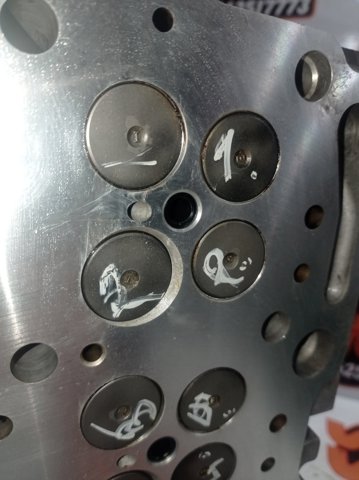 Cabeça de motor (CBC) Opel 98109675 preço, a partir de 289,44 USD