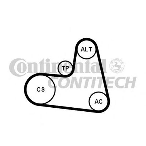 Correia dos conjuntos de transmissão, kit Continental/Siemens 6PK1217K1 preço, a partir de 68,21 USD