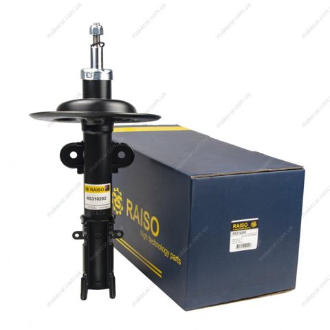  Raiso RS310202