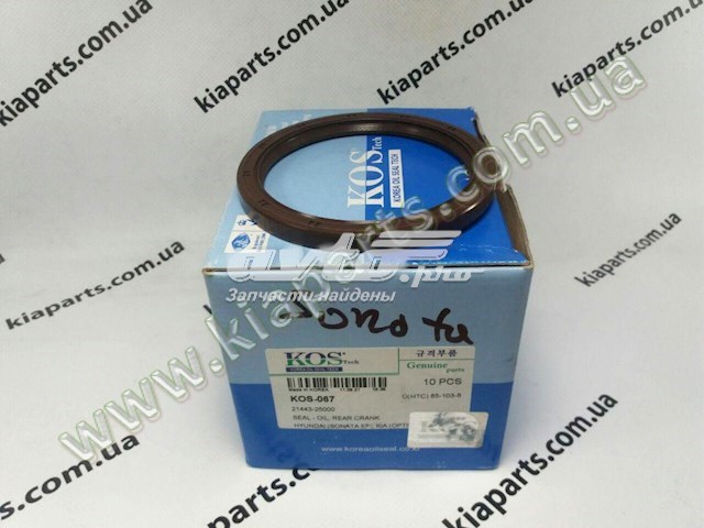 2132145001 Hyundai/Kia Vedação dianteira de cambota de motor