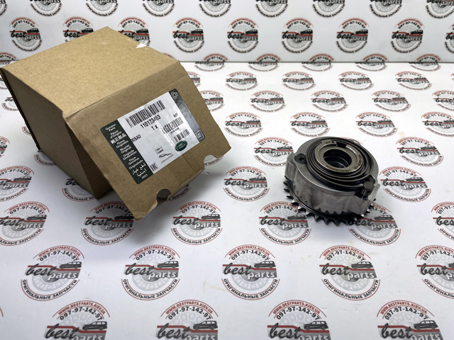 Compre 110123463 Land Rover Engrenagem de cadeia de roda dentada da árvore distribuidora de admissão de motor