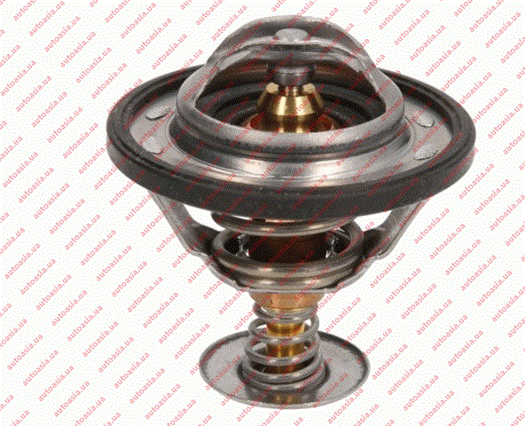 Compre 1023779300 BYD Termostato