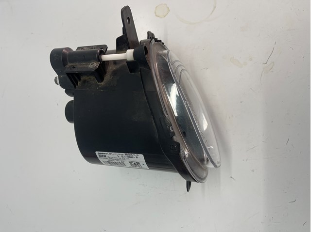63117295687 BMW Luz esquerda