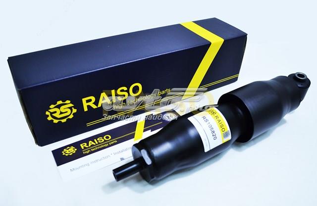 RS105820 Raiso Amortecedor traseiro