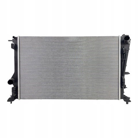 Radiador de esfriamento de motor Renault (RVI) 214102845R