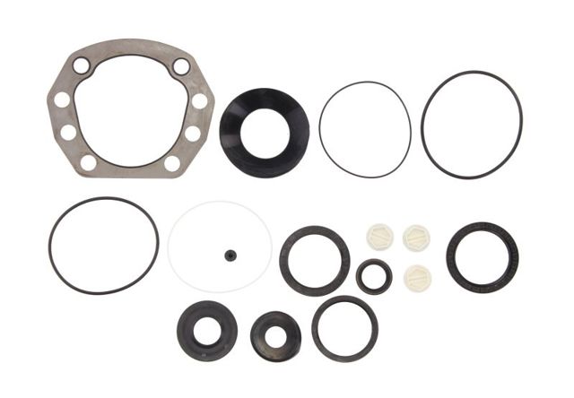 Kit de reparação da cremalheira da direção (do mecanismo), (kit de vedantes) para DAF 105 XF 
