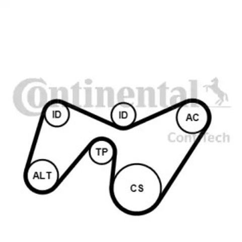 Correia dos conjuntos de transmissão, kit Continental/Siemens 6PK1642K2