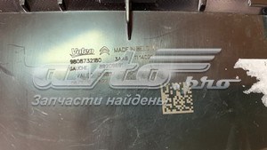 Compre 9808732180 Peugeot/Citroen Pisca-pisca esquerdo
