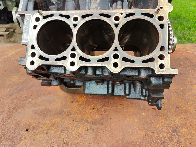 Motor montado BUG VAG