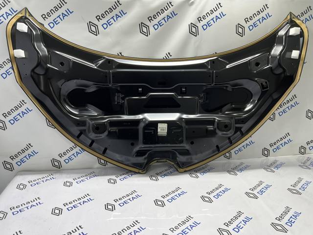 Compre 651001566R Renault (RVI) Capota