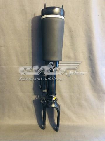 Amortecedor dianteiro Mercedes A2513203113 preço, a partir de 449,21 USD