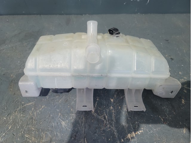  Tanque de expansão do sistema de esfriamento Tesla Model S liftback (5YJS) (2016 - 2026) 