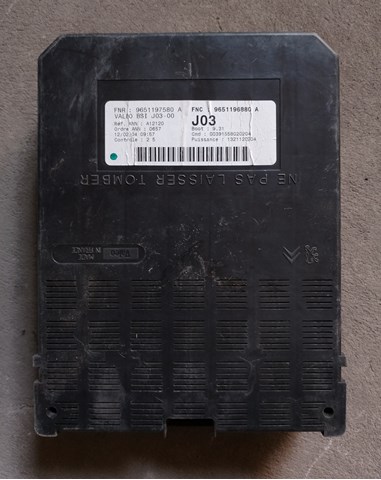  9651196880 Peugeot/Citroen