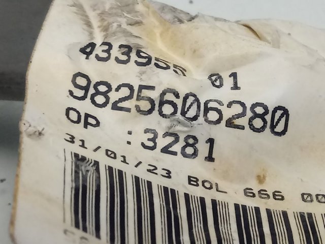 9806779480 Peugeot/Citroen Proteção do freio de disco dianteiro direito