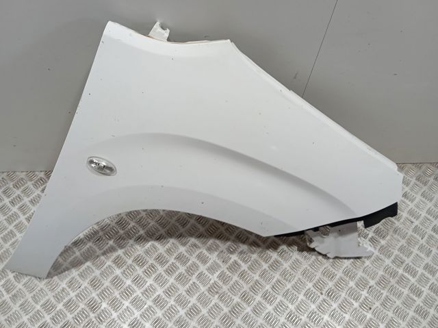 Compre 9816482380 Peugeot/Citroen Pára-lama dianteiro direito