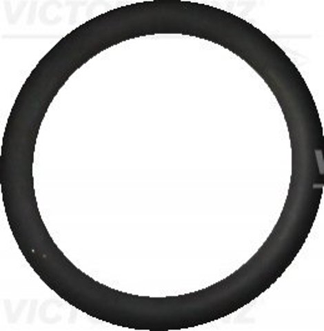 Vedante (anel) de mangueira de esfriamento de turbina, de retorno 407632510 Victor Reinz