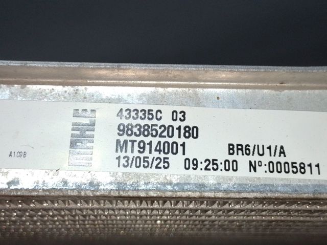 9838520180 Peugeot/Citroen Radiador de esfriamento de motor