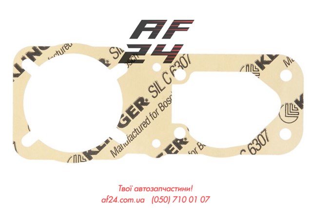 Compre 069711 DAF 