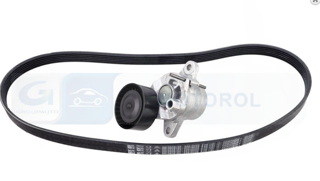 1631627780 Peugeot/Citroen Correia dos conjuntos de transmissão, kit