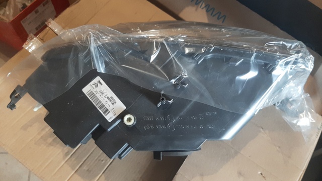 Compre 9800901380 Peugeot/Citroen Luz esquerda