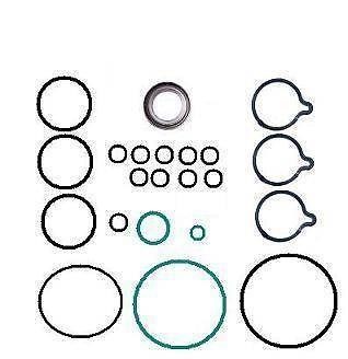 Kit de reparação da Bomba de Combustível de Pressão Alta Bosch F00R0P0743