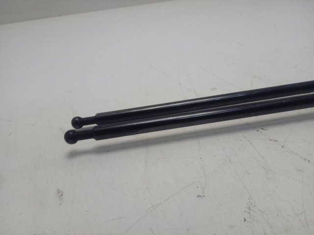 Amortecedor da capota Peugeot/Citroen 9813503380