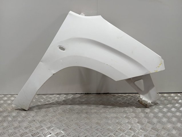 Pára-lama dianteiro direito Peugeot/Citroen 9816482380
