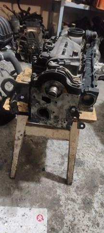 Cabeça de motor (CBC) 110421067R Renault (RVI)