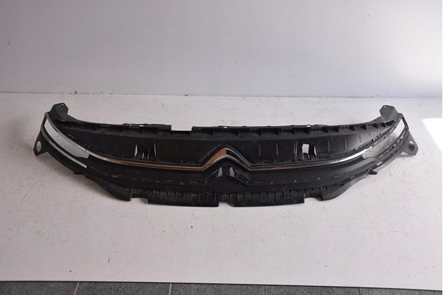Grelha do radiador 9816749780 Peugeot/Citroen