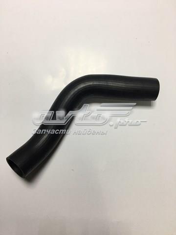 Mangueira (cano derivado) do radiador de esfriamento superior 254111J100 Hyundai/Kia