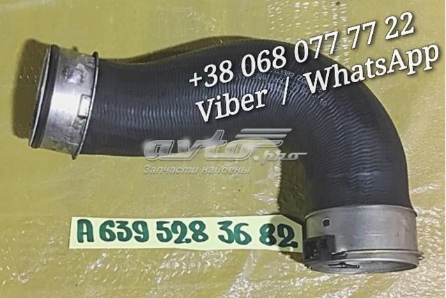 A6395283682 Mercedes Mangueira (cano derivado) de intercooler