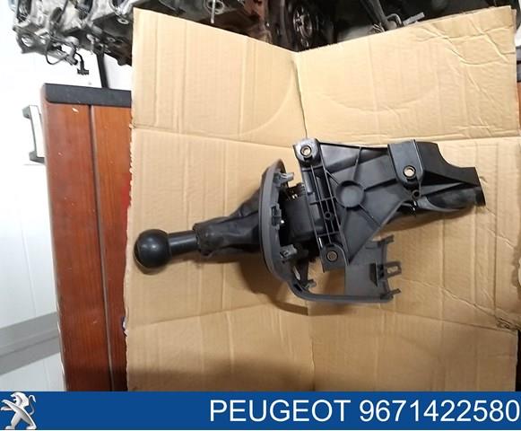  Peugeot/Citroen 9671422580