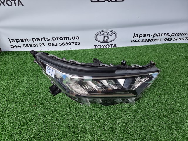 Compre ZTY1877OR Signeda Luz direita