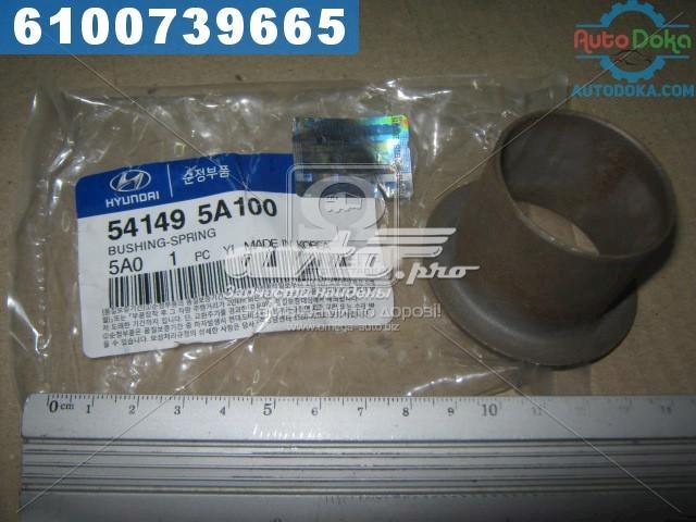 541495A100 Hyundai/Kia Bloco silencioso de dianteiro suspensão de lâminas traseira