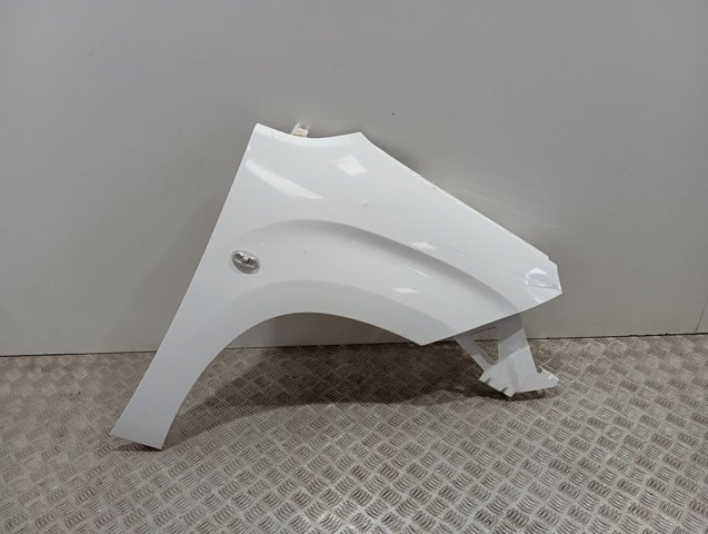 Pára-lama dianteiro direito Peugeot/Citroen 9816482380 preço, a partir de 126,94 EUR