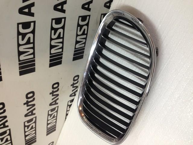10627110 BMW Grelha do radiador