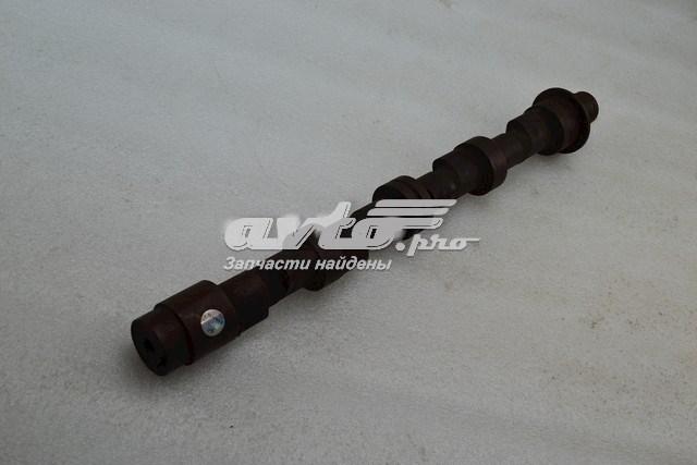 A3171006010 ZAZ Árvore distribuidora de motor