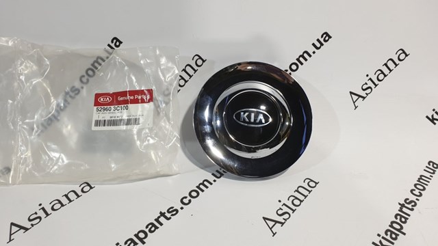 224412E99A Hyundai/Kia Vedante de tampa de válvulas de motor