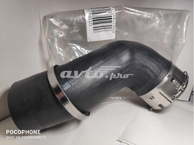 Compre GT52233 GT-Bergmann Mangueira (cano derivado) de intercooler