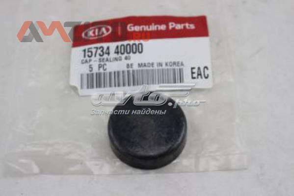 Tampão CBC/do bloco de cilindros Hyundai/Kia 1573440000 preço, a partir de 0,55 USD