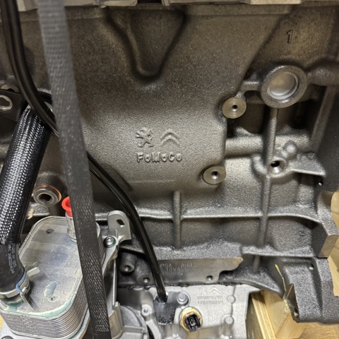  Peugeot/Citroen 1613251380