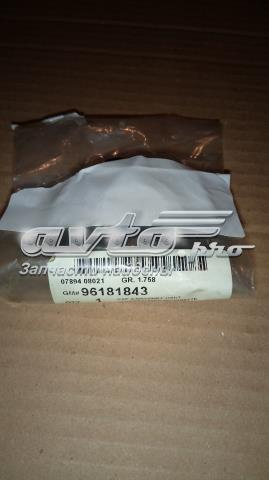 Compre 96181843 General Motors Tampa do gargalho de enchimento de óleo
