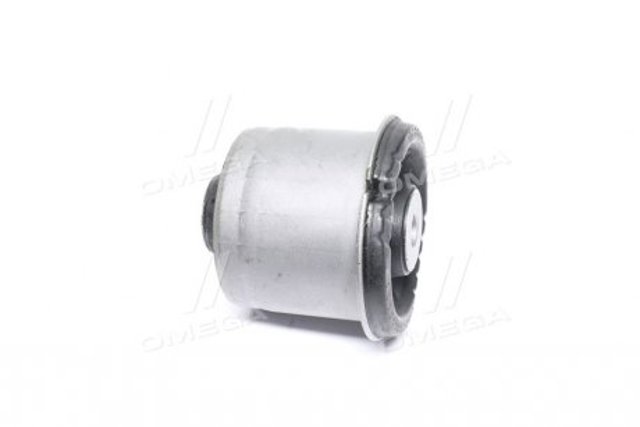 CVKH202 CTR Bloco silencioso de viga traseira (de plataforma veicular)
