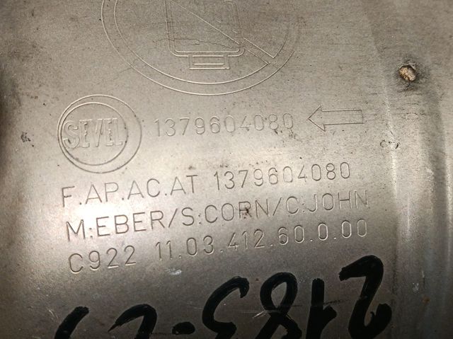  1379604080 Peugeot/Citroen