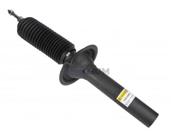 Compre RS230965 Raiso Amortecedor dianteiro