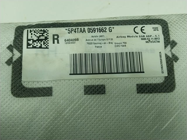 Compre 9821954780 Peugeot/Citroen Airbag da porta traseira direita