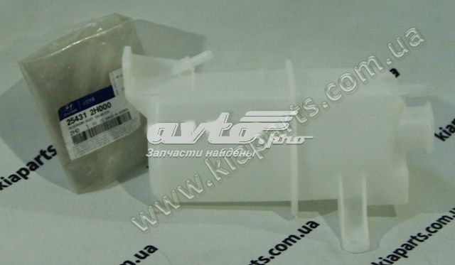 Compre 254312H000 Hyundai/Kia Tanque de expansão do sistema de esfriamento
