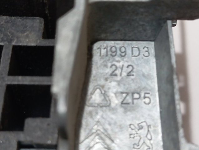 1199D3 Peugeot/Citroen 